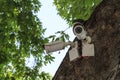 old white outdoor video surveillance cameras installed in several directions for easy monitoring of order in the Park Royalty Free Stock Photo