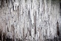 Old white paint with peeling texture on an wooden wall Royalty Free Stock Photo
