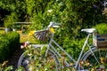 Old white painted bicycle in a garden with flowers in the summer Royalty Free Stock Photo