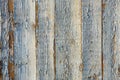 Old white painted exfoliate rustic bright light wooden texture Royalty Free Stock Photo