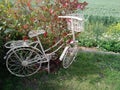 Old white painted metal bicycle . Royalty Free Stock Photo