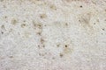 Old white rock surface background or texture. Royalty Free Stock Photo