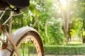 Old white rustic bicycle with blurred park background