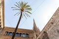 Old white spanish house or catholic church with palm tree in Barcelona Royalty Free Stock Photo