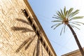 Old white spanish house or catholic church with palm tree in Barcelona Royalty Free Stock Photo