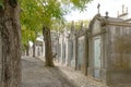 Old graves and trees in Alto de Sao Joao cemetery in Lisbon, Portugal