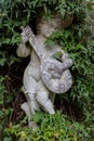 Old white weathered statue of a boy playing a lute surrounded with ivy