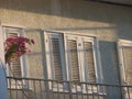Old white windows with closed shutters and bougainvillea