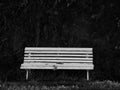 A old white wooden bench isolated in a wooded area Royalty Free Stock Photo