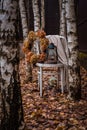 Old white wooden chair with a vintage lamp, wool plaid and handmade hyndragea wreath among birches Royalty Free Stock Photo