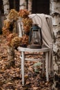 Old white wooden chair with a vintage lamp, wool plaid and handmade hyndragea wreath among birches Royalty Free Stock Photo