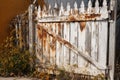 Old white wooden fence with rusty iron gate and yellow flowers in the garden Royalty Free Stock Photo