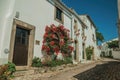 Old whitewashed houses and flowered shrubs in cobblestone alley Royalty Free Stock Photo