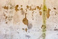 Old whitewashed wall with rich and various texture