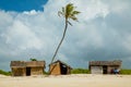 Old wicker African huts and palms on the ocean