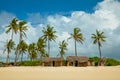 Old wicker African huts and palms on the ocean