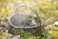 Old wicker basket