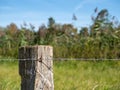 Old wicker fence post, wood pile with tensioned barbed wire Royalty Free Stock Photo
