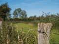 Old wicker fence post, wood pile with tensioned barbed wire Royalty Free Stock Photo