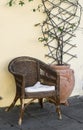 Old wicker rattan chair and the flower in ceramic vintage pot against the yellow wall Royalty Free Stock Photo