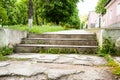 Old wide concrete steps. Against the backdrop of green trees. Summer day