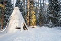 The old wigwam in the forest.