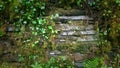 old wild country drystone wall