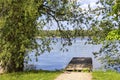 Old willow tree is standig at the lakeside of the Mueritz Lake