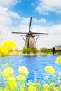 Old windmill in Kinderdijk at spring