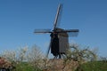 Old windmill in Netherlands, spring season Royalty Free Stock Photo