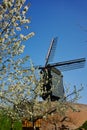 Old windmill in Netherlands, spring season Royalty Free Stock Photo