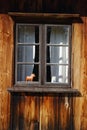 Old window Royalty Free Stock Photo