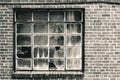 Old window with broken panes that has been boarded up. Set in brick wall in warm tone black and white Royalty Free Stock Photo
