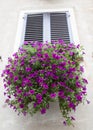 Old window with closed shutters with flowers on the window sill on the stone wall. Italian Village Royalty Free Stock Photo