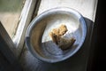 The old window from it drops sunlight. On the window an old aluminum bowl in it small pieces of bread