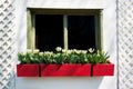 Old Window Flower Box Royalty Free Stock Photo