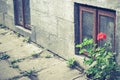 Old window and flower pots geraniums in Tuscany, Italy. Old window with flowers. Ramshackle windows with broken glass