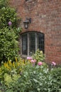 Old window with flowerbed