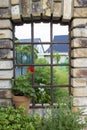 Old window with flowers Royalty Free Stock Photo