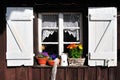 Old window garden shed