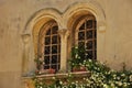 Old window of medieval house with jasmine Royalty Free Stock Photo