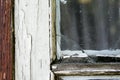 Old window pane with peeled of white color Royalty Free Stock Photo