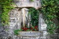 Old window with red flowers and ivy on the wall of an old house Royalty Free Stock Photo