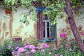 An old window with shutters on the wall of a rural house in the garden and flowers Royalty Free Stock Photo