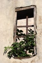 Old window with steel lattice Royalty Free Stock Photo