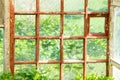 Old windows with brown wooden frames with old peeling paint in the greenhouse. behind the square-shaped glass, greenery grows