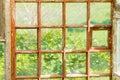 Old windows with brown wooden frames with old peeling paint in the greenhouse. behind the square-shaped glass nettle grows