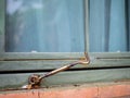 Old windows latch  and wooden window Royalty Free Stock Photo