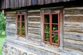 Old windows with muscatel