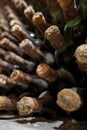 Old Wine aging in wine cellar